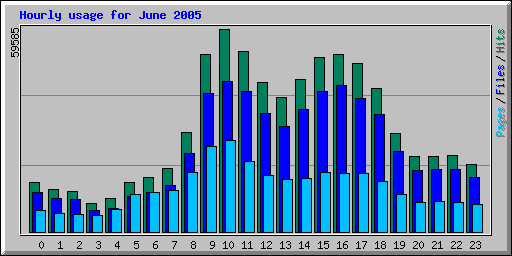 Hourly usage for June 2005