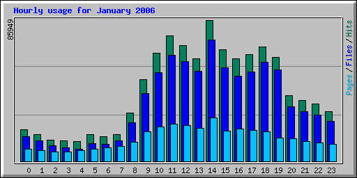 Hourly usage for January 2006